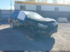 2T3B1RFV7SC520452 2025 TOYOTA RAV 4