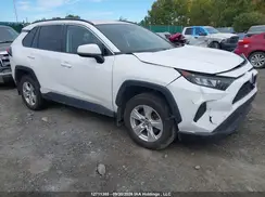 2T3B1RFV8KC021448 2019 TOYOTA RAV 4