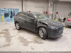 2T3B1RFV8KC030294 2019 TOYOTA RAV 4