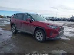 2T3B1RFV8KW079798 2019 TOYOTA RAV 4