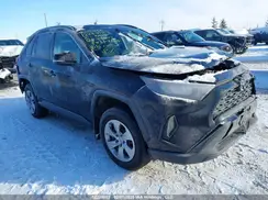 2T3B1RFV8MC224004 2021 TOYOTA RAV 4