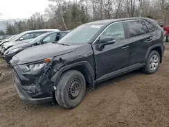 2T3B1RFV8NC282308 2022 TOYOTA RAV 4