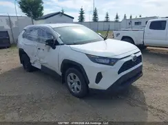 2T3B1RFV8RC441608 2024 TOYOTA RAV 4