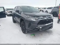 2T3B1RFV8RC463883 2024 TOYOTA RAV 4