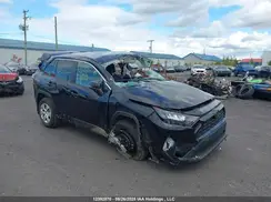 2T3B1RFV8RC481946 2024 TOYOTA RAV 4