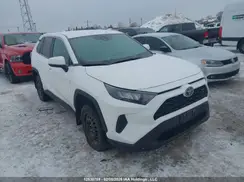 2T3B1RFV8SC536403 2025 TOYOTA RAV 4