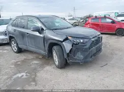 2T3B1RFV9KC018204 2019 TOYOTA RAV 4