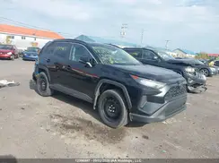 2T3B1RFV9KC031406 2019 TOYOTA RAV 4
