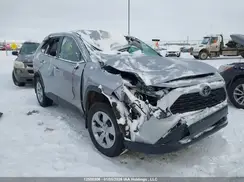 2T3B1RFV9PC332359 2023 TOYOTA RAV 4