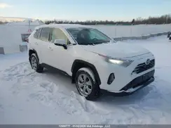 2T3B1RFV9PC336461 2023 TOYOTA RAV 4