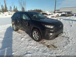 2T3B1RFV9PC381593 2023 TOYOTA RAV 4