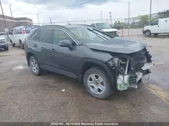 2T3B1RFVXKC033164 2019 TOYOTA RAV 4