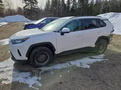 2T3B1RFVXKC046268 2019 TOYOTA RAV 4