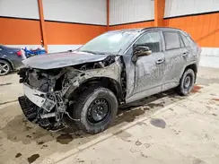 2T3B1RFVXLC093981 2020 TOYOTA RAV 4