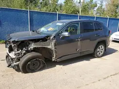 2T3B1RFVXPC326165 2023 TOYOTA RAV 4