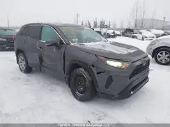 2T3B1RFVXPC331687 2023 TOYOTA RAV 4