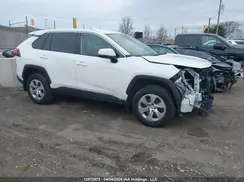 2T3B1RFVXPW359116 2023 TOYOTA RAV 4