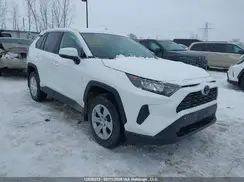 2T3B1RFVXRC450228 2024 TOYOTA RAV 4