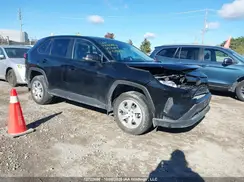 2T3B1RFVXSC519246 2025 TOYOTA RAV 4