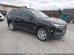 2T3B1RFVXSC534300 2025 TOYOTA RAV 4