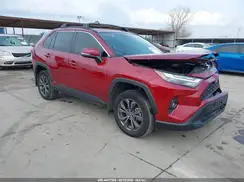 2T3B6RFV0RW050131 2024 TOYOTA RAV 4