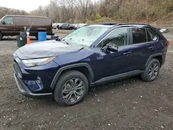 2T3B6RFV0RW053207 2024 TOYOTA RAV 4