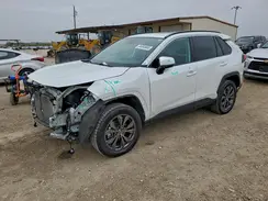 2T3B6RFV0RW055880 2024 TOYOTA RAV 4