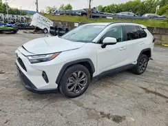 2T3B6RFV0RW068919 2024 TOYOTA RAV 4