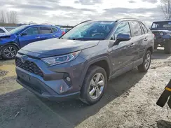 2T3B6RFV1MW024727 2021 TOYOTA RAV 4