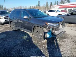 2T3B6RFV1RW054284 2024 TOYOTA RAV 4