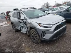 2T3B6RFV1RW080819 2024 TOYOTA RAV 4
