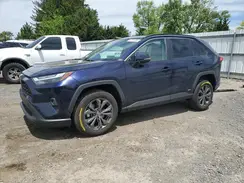 2T3B6RFV1RW081369 2024 TOYOTA RAV 4