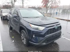 2T3B6RFV2PW046823 2023 TOYOTA RAV 4