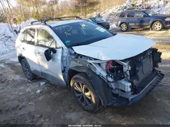 2T3B6RFV2RW051961 2024 TOYOTA RAV 4