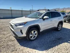 2T3B6RFV3MW021831 2021 TOYOTA RAV 4