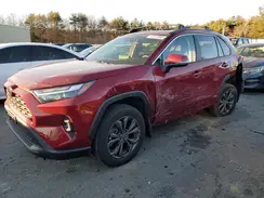 2T3B6RFV3PW040917 2023 TOYOTA RAV 4
