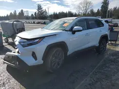 2T3B6RFV3RW058563 2024 TOYOTA RAV 4