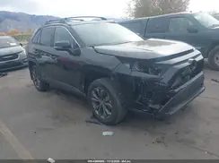 2T3B6RFV3RW062841 2024 TOYOTA RAV 4