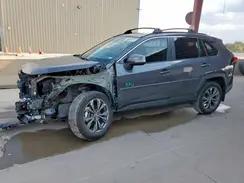 2T3B6RFV3RW080787 2024 TOYOTA RAV 4