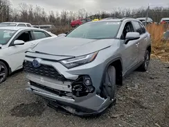 2T3B6RFV3RW081244 2024 TOYOTA RAV 4