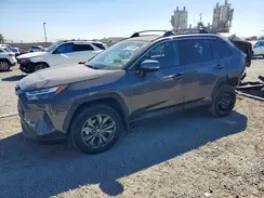 2T3B6RFV4RW070379 2023 TOYOTA RAV 4