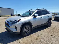 2T3B6RFV4RW078448 2024 TOYOTA RAV 4