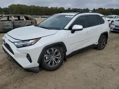 2T3B6RFV4RW078546 2024 TOYOTA RAV 4