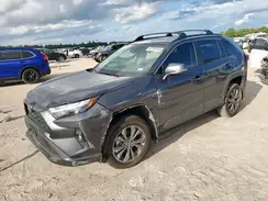 2T3B6RFV4RW079504 2024 TOYOTA RAV 4