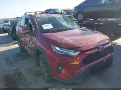 2T3B6RFV6RW055544 2024 TOYOTA RAV 4
