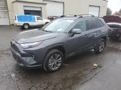 2T3B6RFV6RW059626 2024 TOYOTA RAV 4