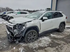 2T3B6RFV8RW053908 2024 TOYOTA RAV 4