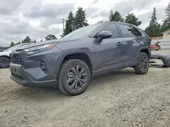 2T3B6RFV8RW059126 2024 TOYOTA RAV 4