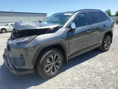 2T3B6RFV8RW083006 2024 TOYOTA RAV 4