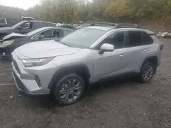 2T3B6RFV9RW065629 2024 TOYOTA RAV 4